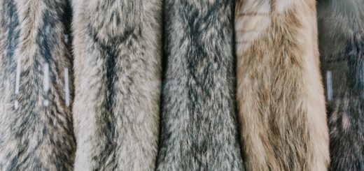 fur legal policy